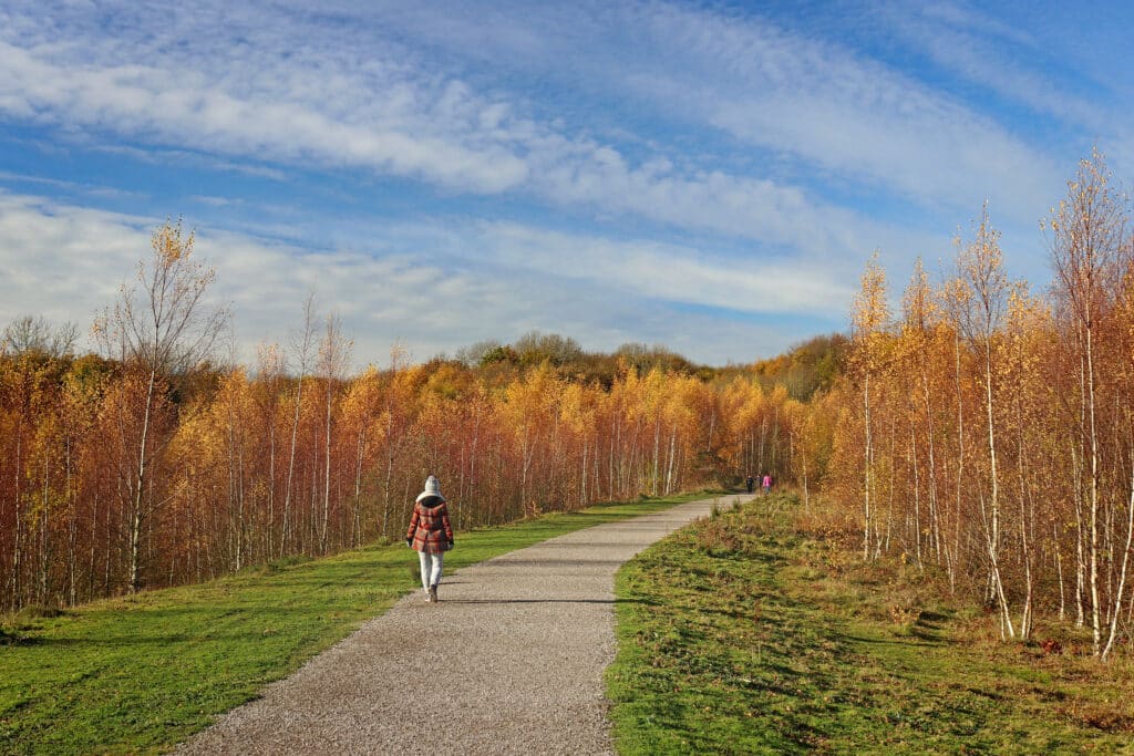 Gedling Country Park